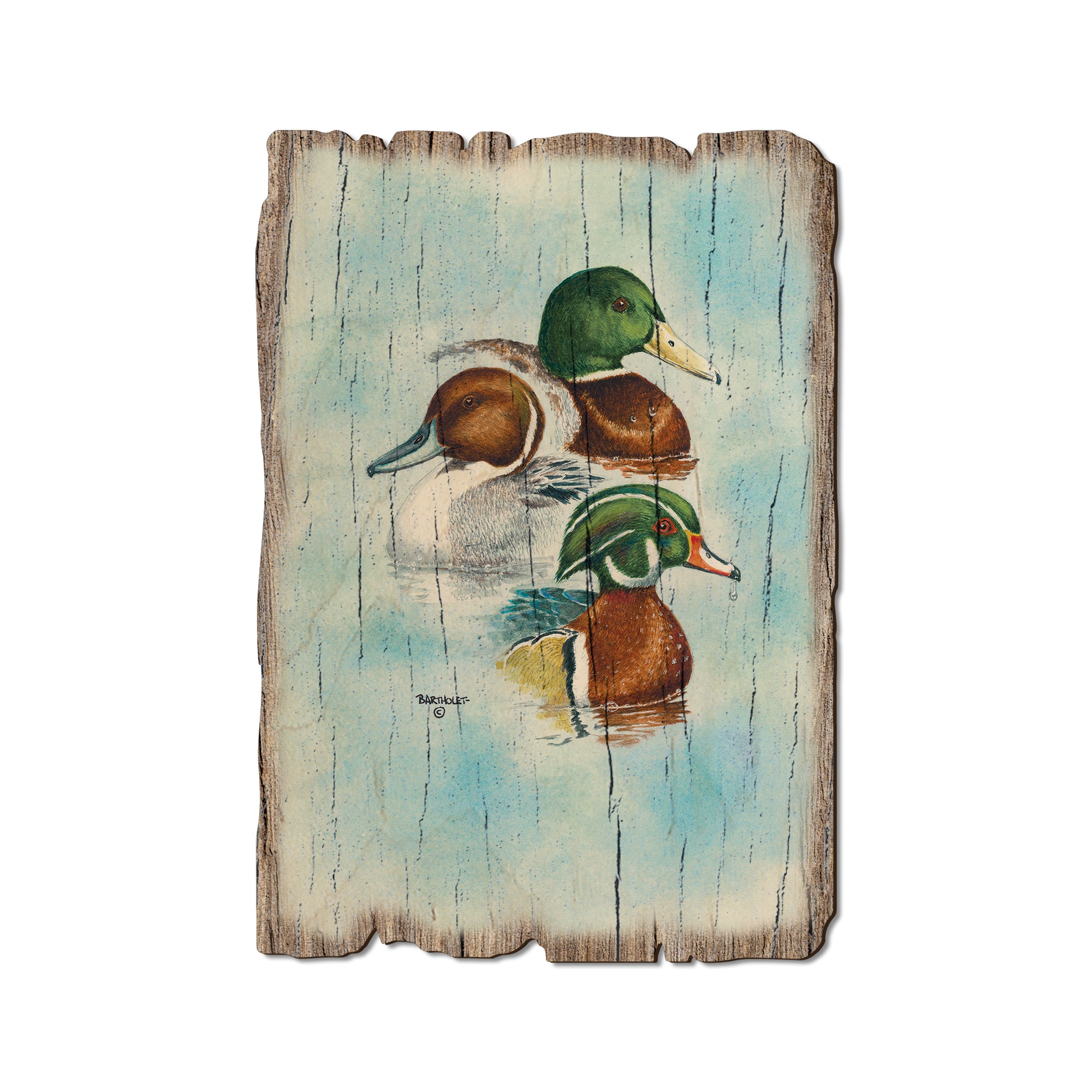 Bartholet's Puddle Duck Trio - Rustic Edge Postcards & Magnets Rustic Edge Postcard (5pk // $2.80ea)