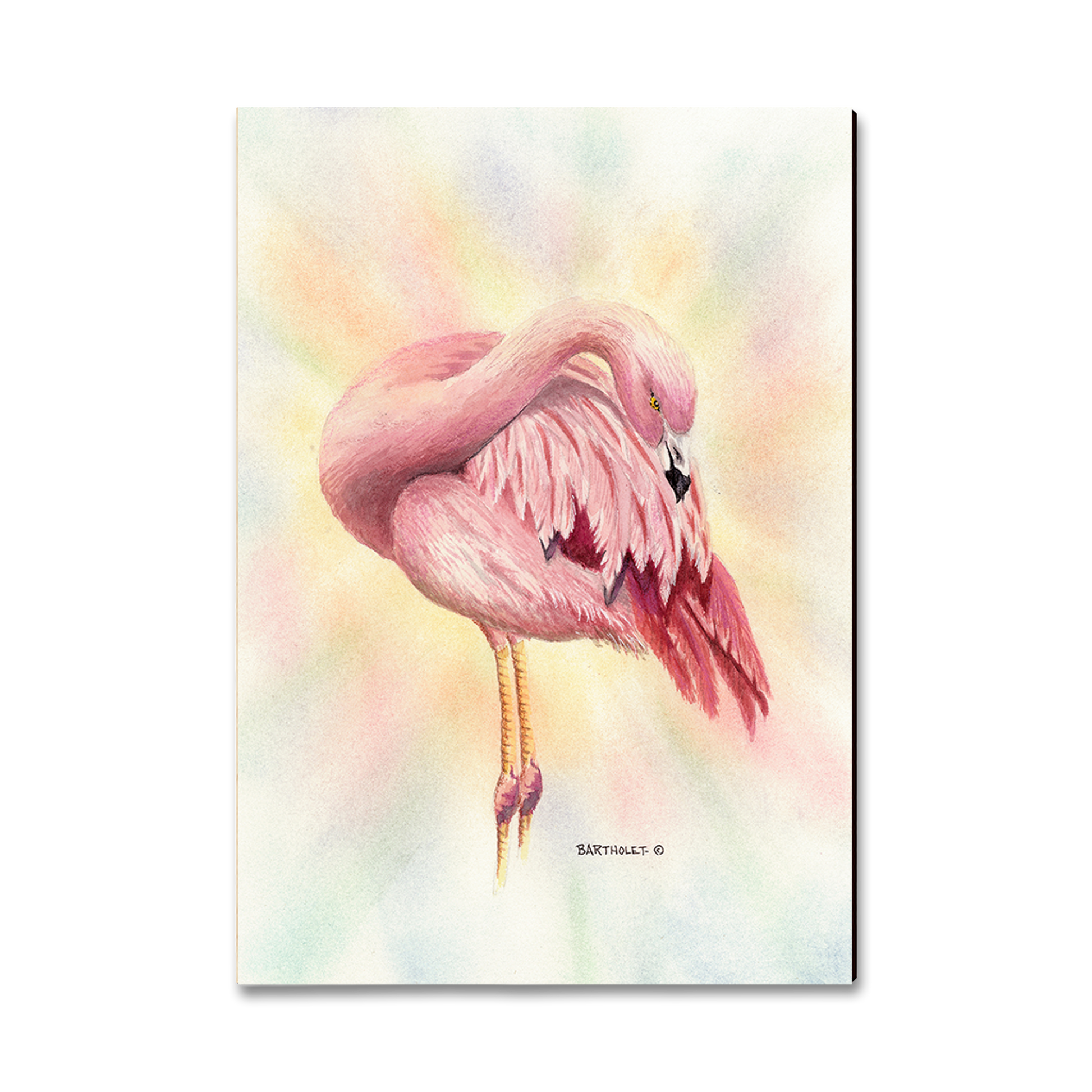 Greeting Card: Classic Edge - Bartholet's Pink Flamingo