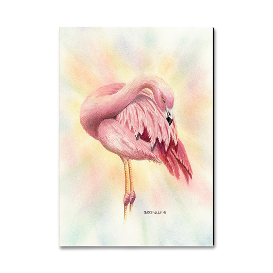 Greeting Card: Classic Edge - Bartholet's Pink Flamingo