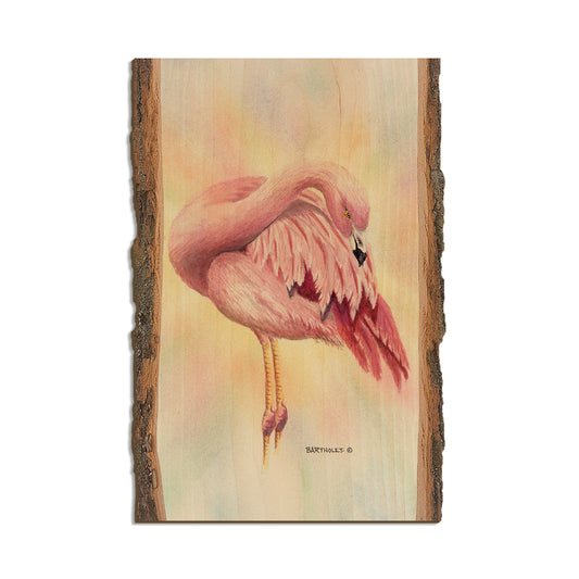Bartholet's Pink Flamingo  - Live Edge Live Edge Postcard (5pk // $2.80ea)