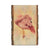 Bartholet's Pink Flamingo  - Live Edge Live Edge Postcard (5pk // $2.80ea)