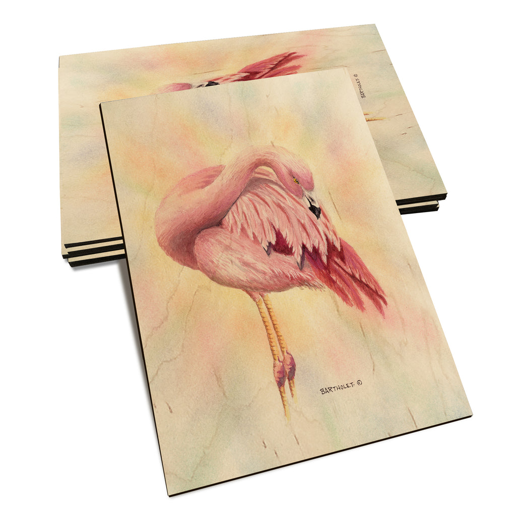 Bartholet's Pink Flamingo  - Classic Edge Classic Edge Postcard (5pk // $2.80ea)