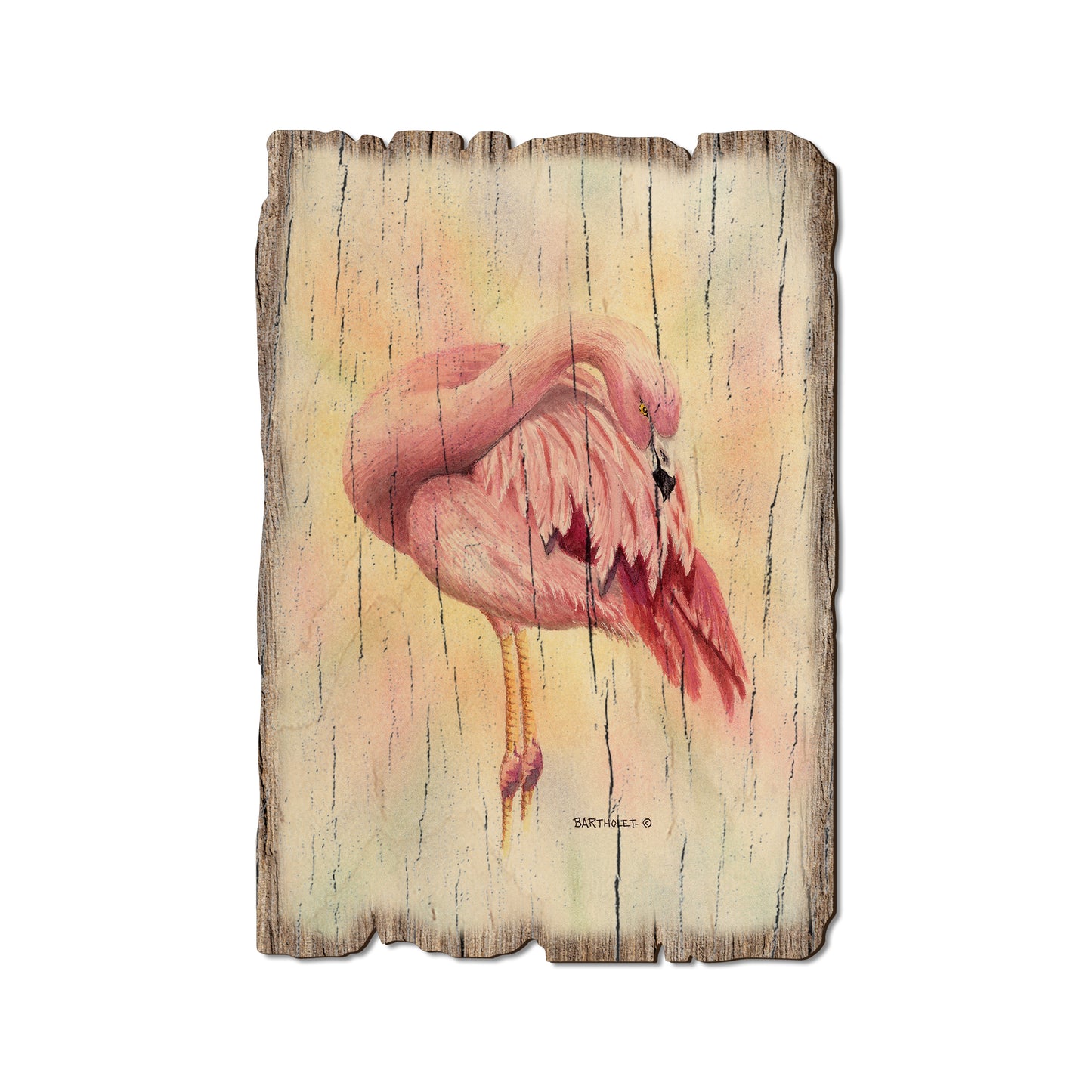Bartholet's Pink Flamingo - Rustic Edge Postcards & Magnets Rustic Edge Postcard (5pk // $2.80ea)