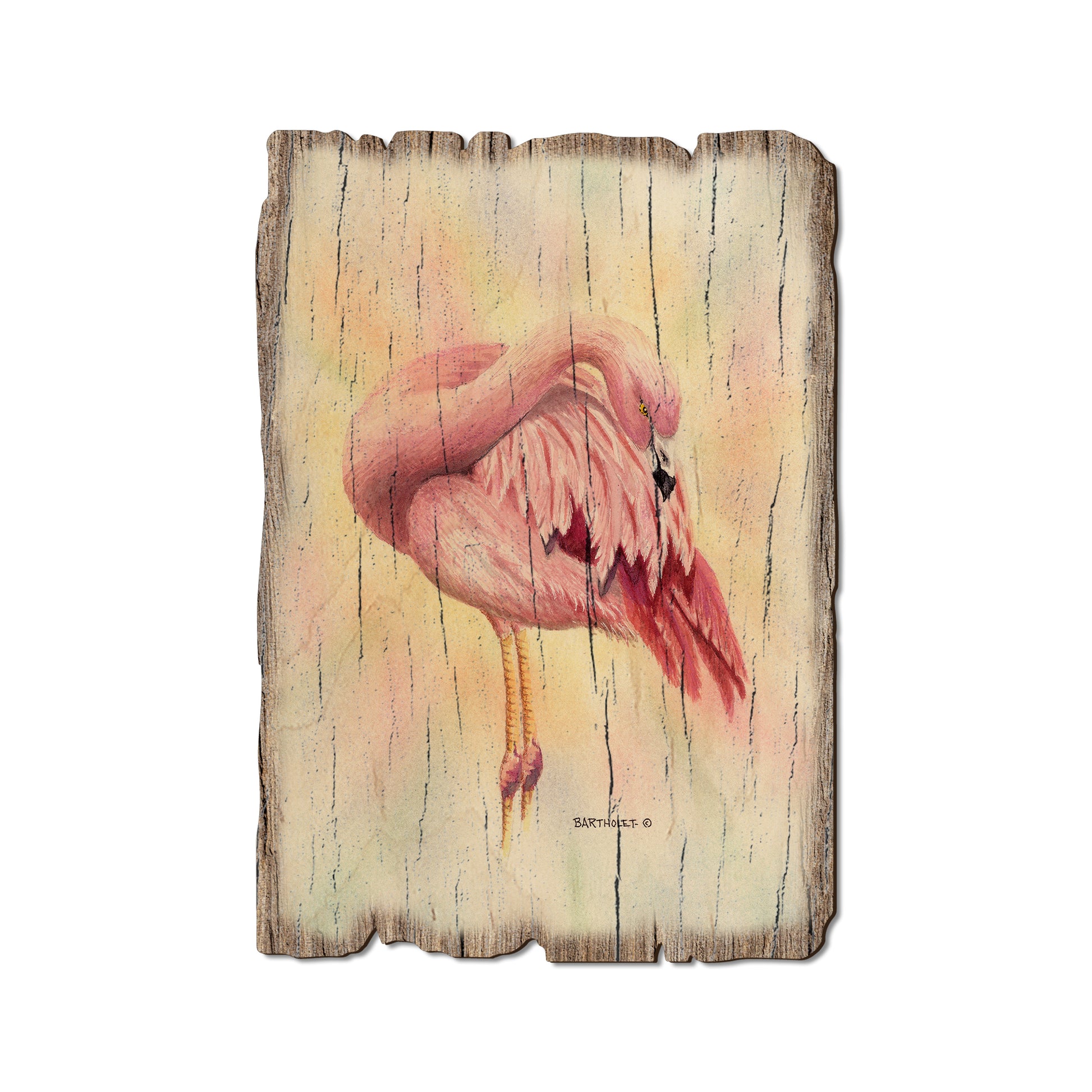 Bartholet's Pink Flamingo - Rustic Edge Postcards & Magnets Rustic Edge Postcard (5pk // $2.80ea)