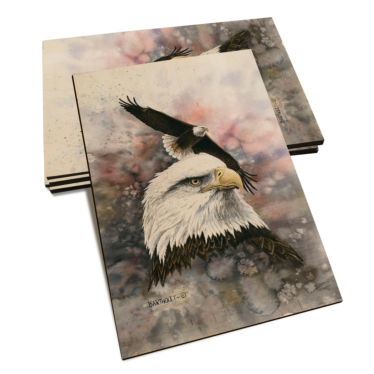 Bartholet's Power & Grace  - Classic Edge Classic Edge Postcard (5pk // $2.80ea)