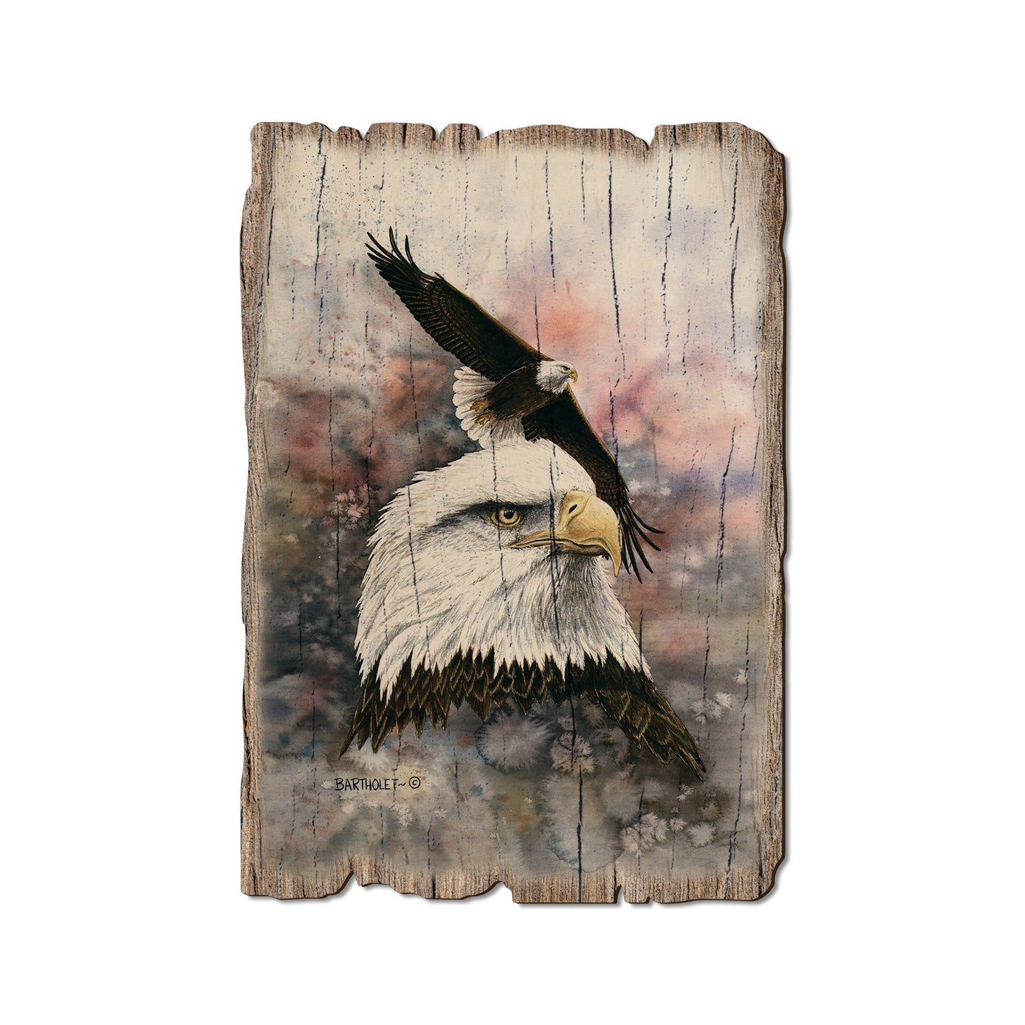 Bartholet's Power And Grace - Rustic Edge Postcards & Magnets Rustic Edge Postcard (5pk // $2.80ea)