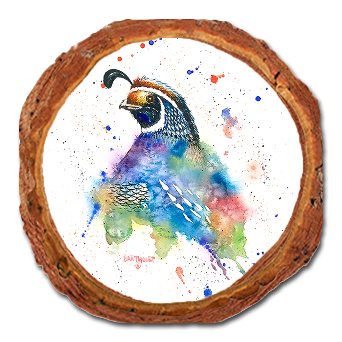 Coaster: Live Edge - Bartholet's Quail Fantasy (Pack of 5)