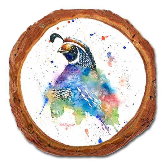 Coaster: Live Edge - Bartholet's Quail Fantasy (Pack of 5)