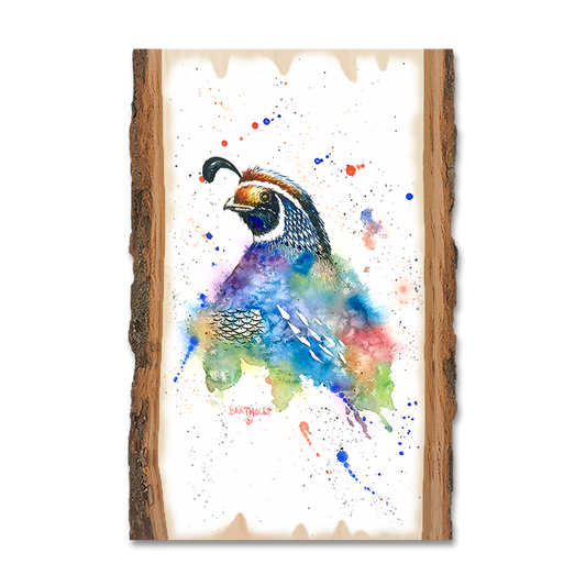 Magnet: Live Edge - Bartholet's Quail Fantasy