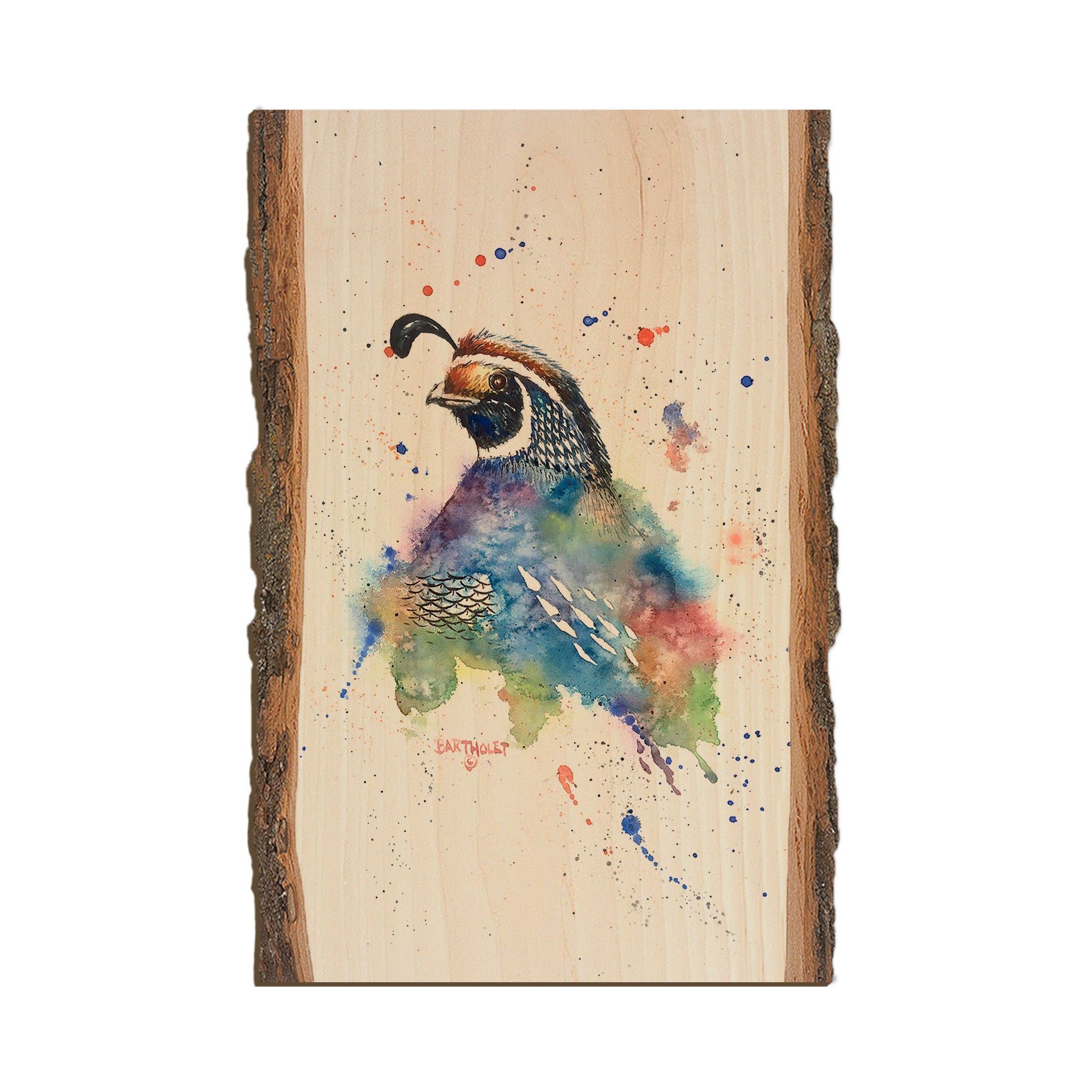 Bartholet's Quail Fantasy  - Live Edge Live Edge Postcard (5pk // $2.80ea)