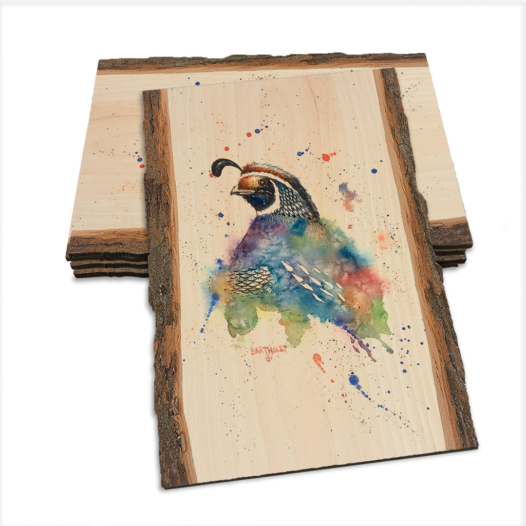 Bartholet's Quail Fantasy  - Live Edge Live Edge Postcard (5pk // $2.80ea)