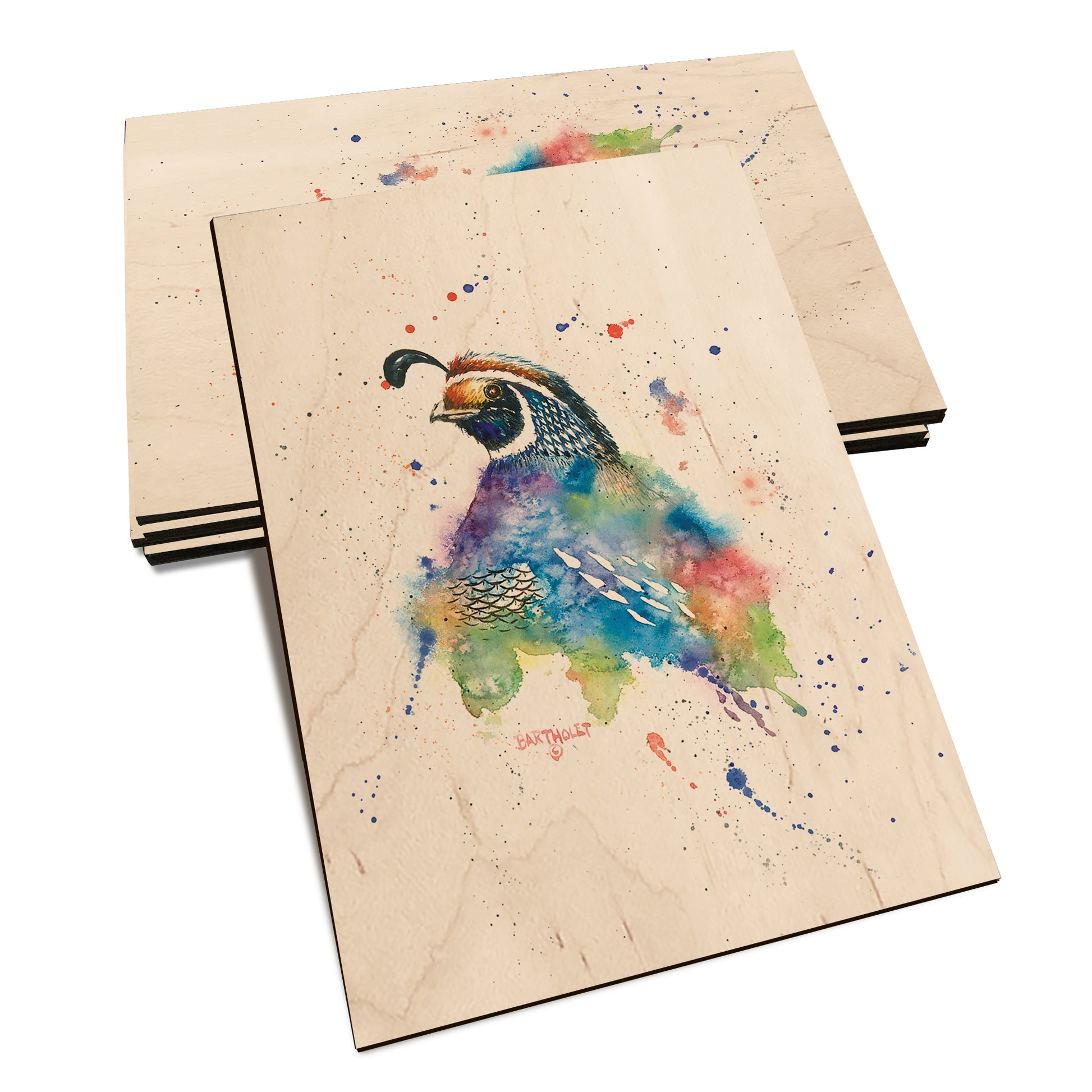 Bartholet's Quail Fantasy  - Classic Edge Classic Edge Postcard (5pk // $2.80ea)