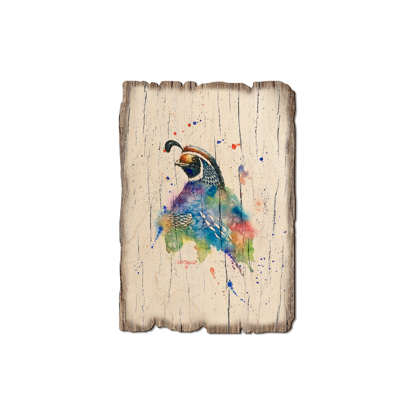 Bartholet's Quail Fantasy - Rustic Edge Postcards & Magnets Rustic Edge Magnet (5pk // $2.80ea)
