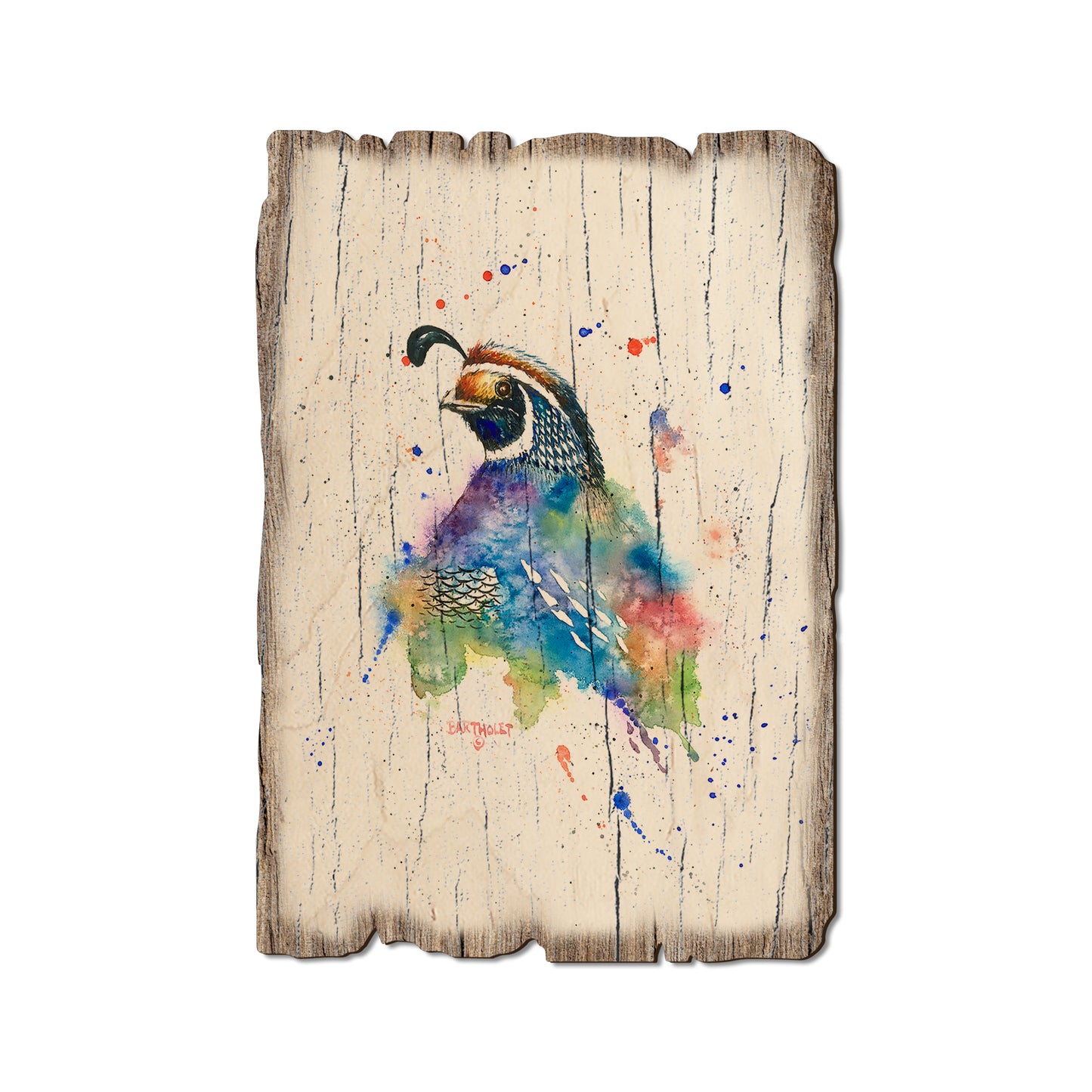 Bartholet's Quail Fantasy - Rustic Edge Postcards & Magnets Rustic Edge Postcard (5pk // $2.80ea)