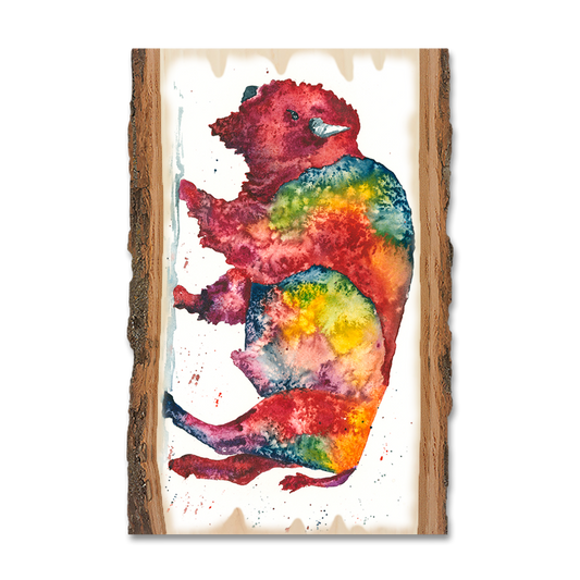 Magnet: Live Edge - Bartholet's Rainbow Bison