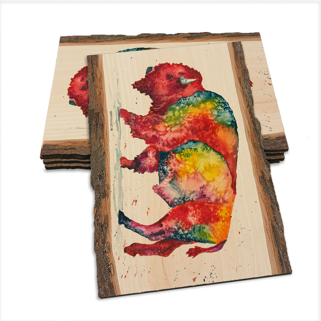 Bartholet's Rainbow Bison  - Live Edge Live Edge Postcard (5pk // $2.80ea)