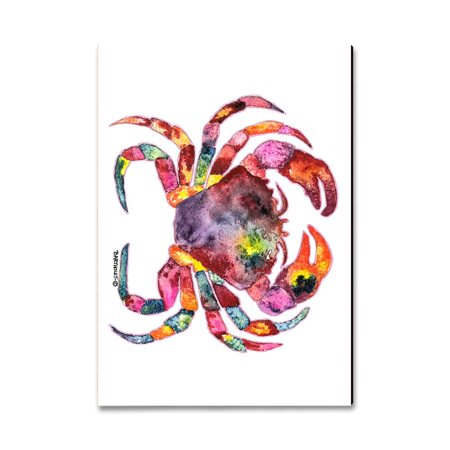 Magnet: Classic Edge - Bartholet's Rainbow Crab
