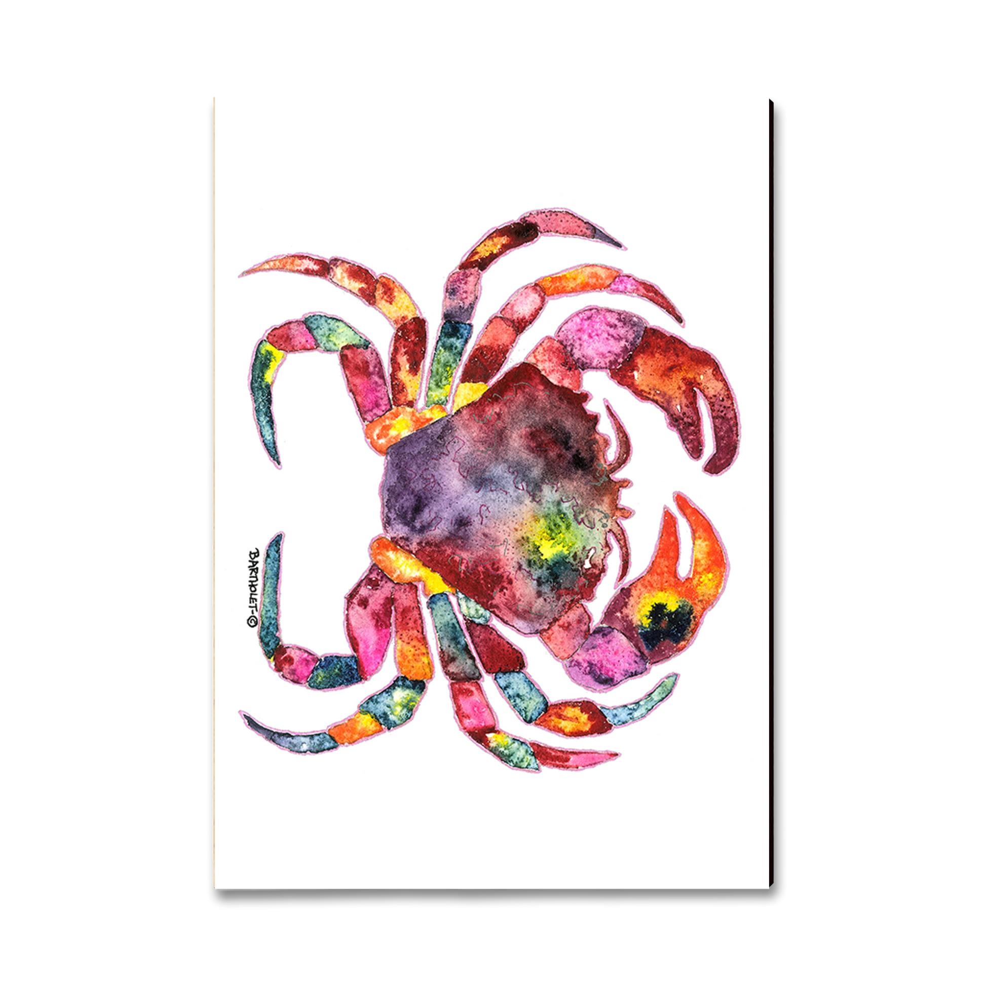 Ornament: Classic Edge - Bartholet's Rainbow Crab
