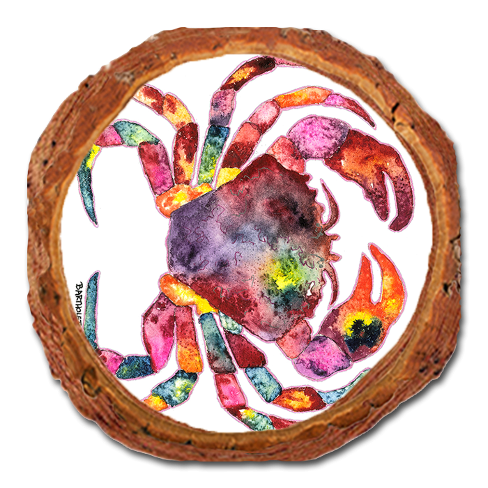Coaster: Live Edge - Bartholet's Rainbow Crab (Pack of 5)
