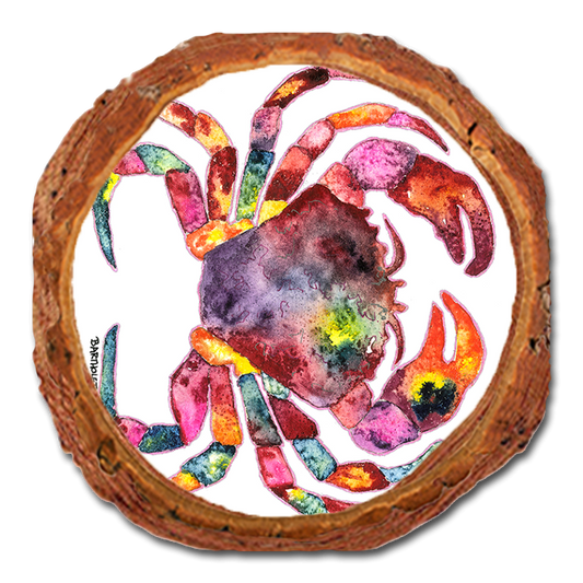 Coaster: Live Edge - Bartholet's Rainbow Crab (Pack of 5)
