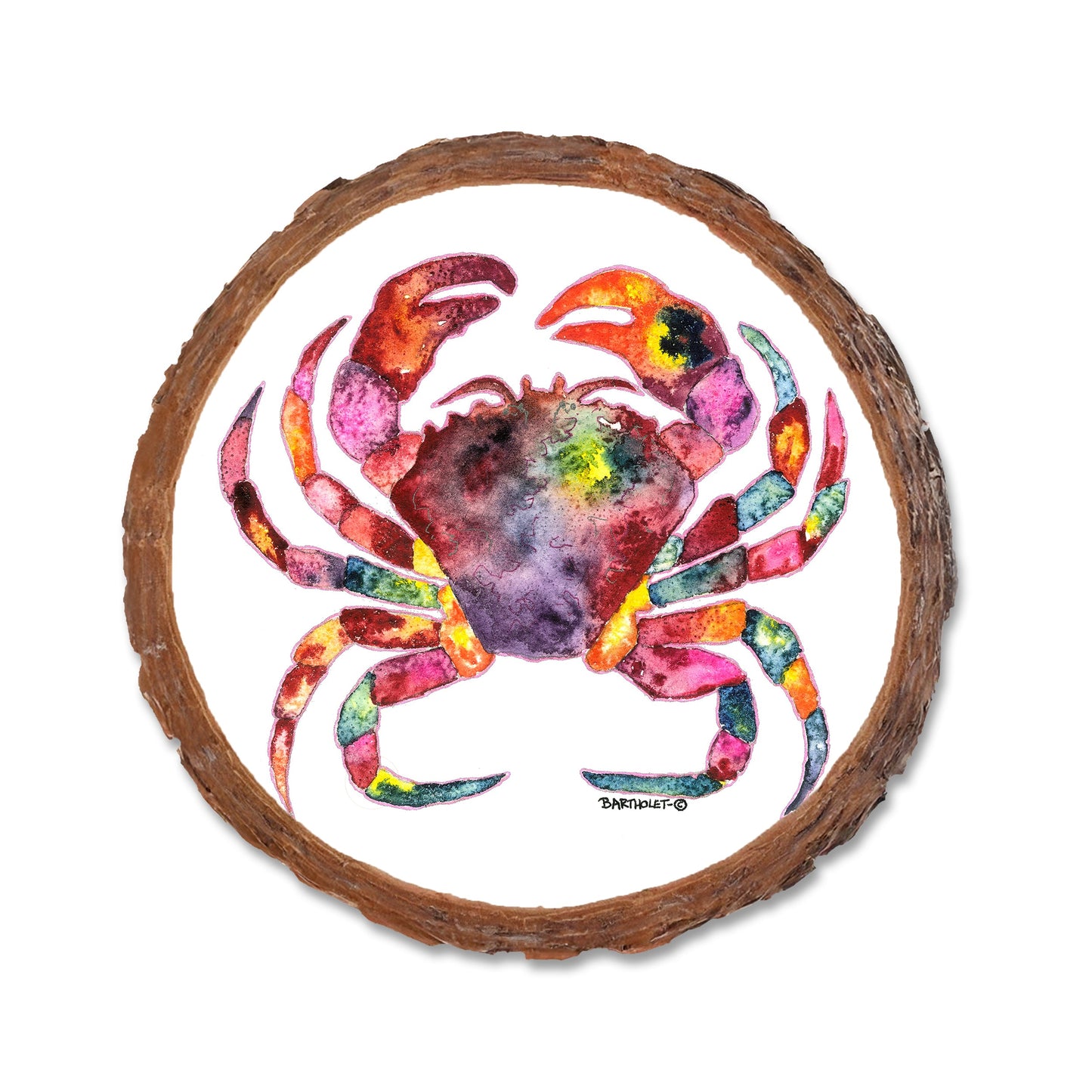 Bartholet's Rainbow Crab  - Live Edge Live Edge Coaster (5pk // $2.80ea)