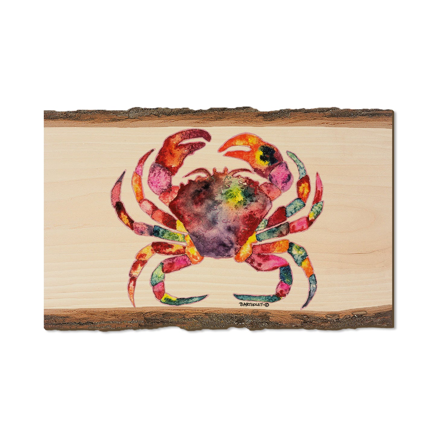 Bartholet's Rainbow Crab  - Live Edge Live Edge Magnet (5pk // $2.80ea)