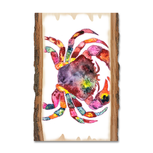 Magnet: Live Edge - Bartholet's Rainbow Crab