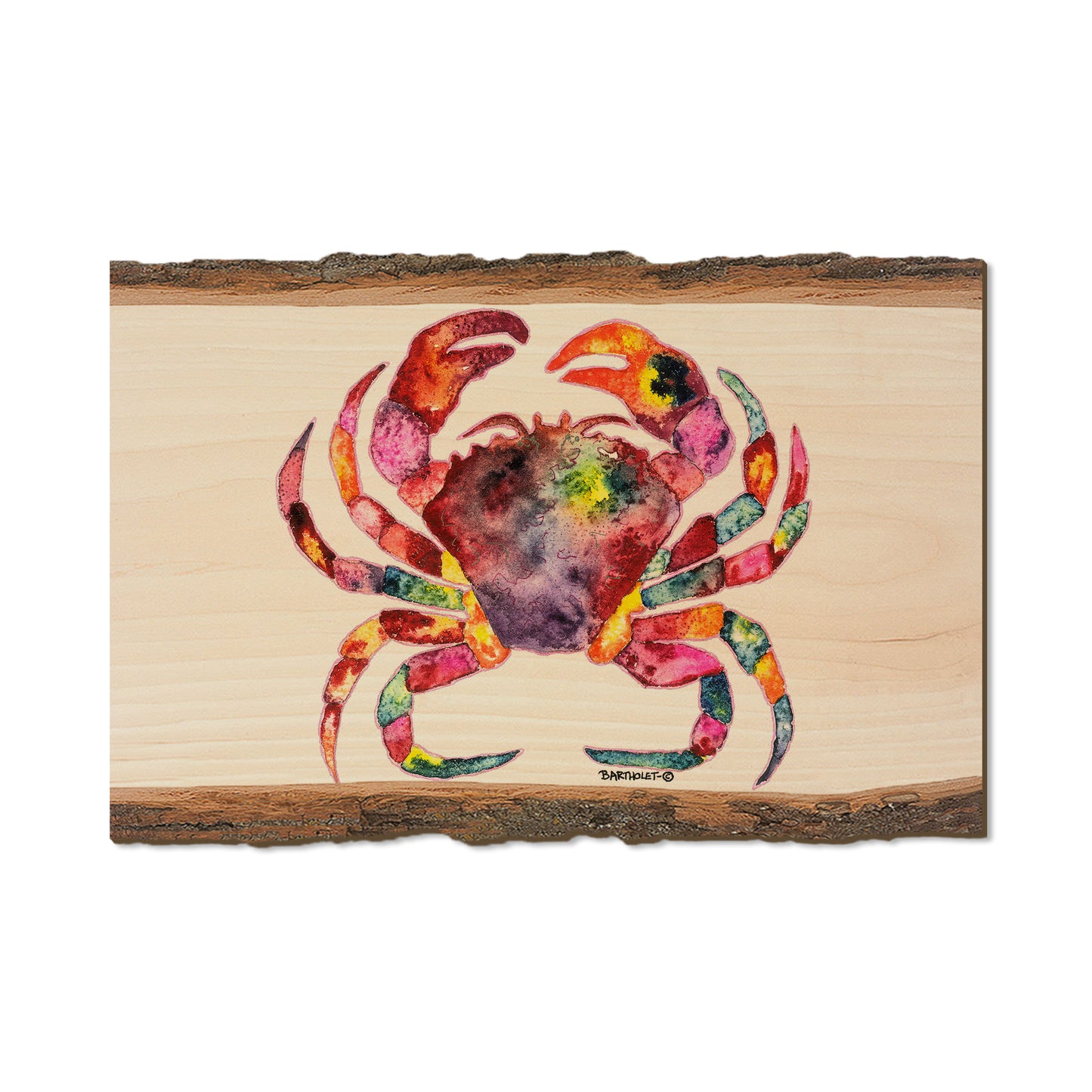 Bartholet's Rainbow Crab  - Live Edge Live Edge Postcard (5pk // $2.80ea)