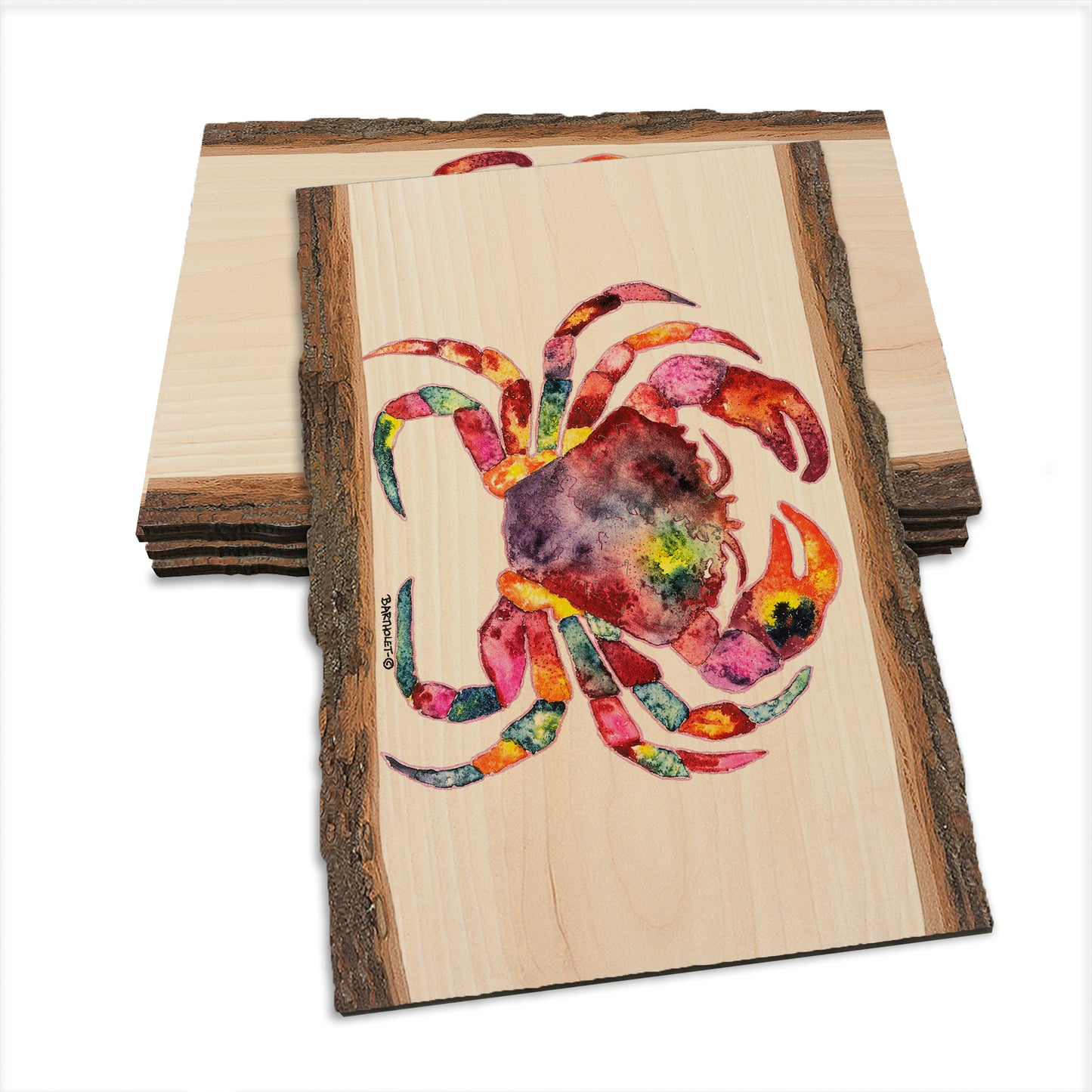 Bartholet's Rainbow Crab  - Live Edge Live Edge Postcard (5pk // $2.80ea)