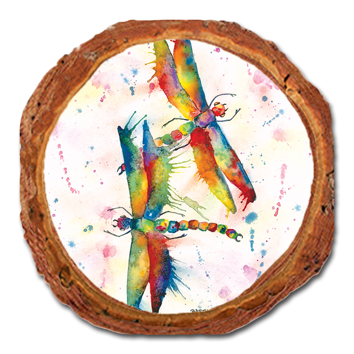 Coaster: Live Edge - Bartholet's Rainbow Dragonflies Courtship (Pack of 5)