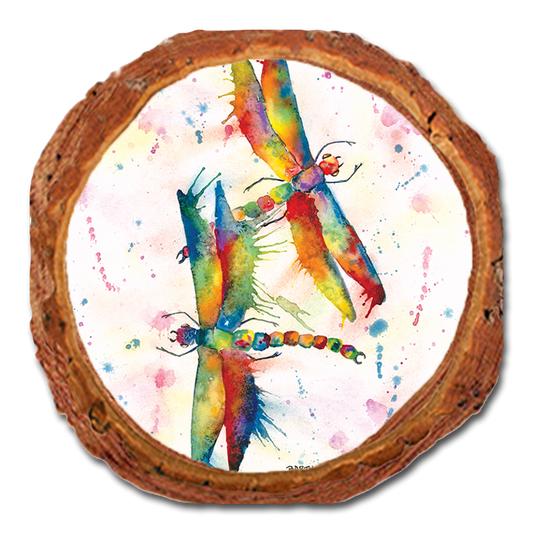 Coaster: Live Edge - Bartholet's Rainbow Dragonflies Courtship (Pack of 5)