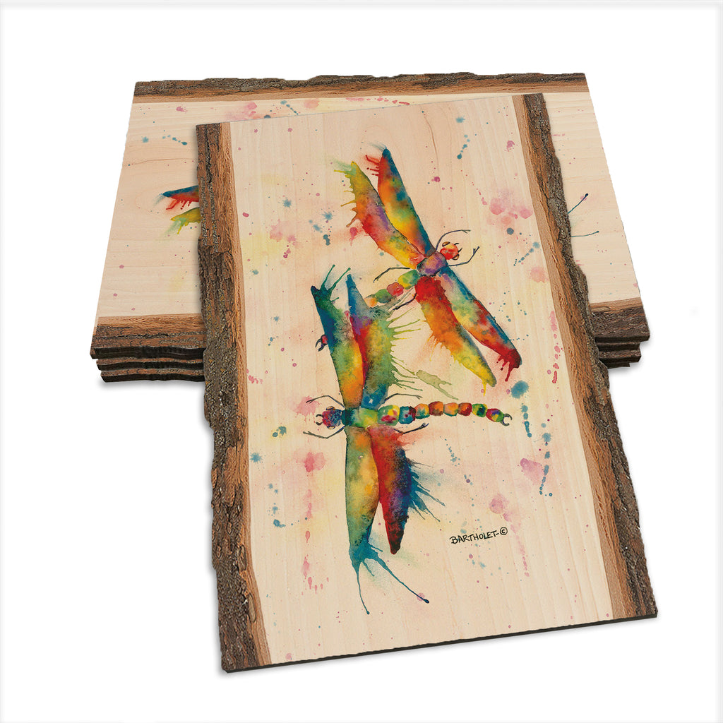 Bartholet's Rainbow Dragonflies Courtship  - Live Edge Live Edge Postcard (5pk // $2.80ea)