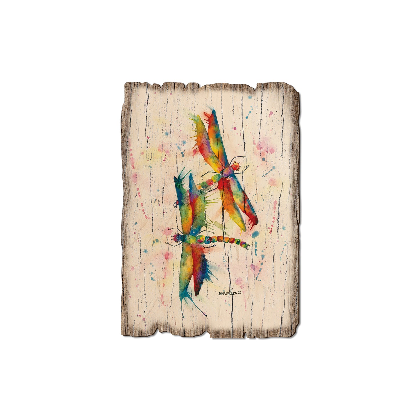 Bartholet's Rainbow Dragonflies Courtship - Rustic Edge Postcards & Magnets Rustic Edge Magnet (5pk // $2.80ea)
