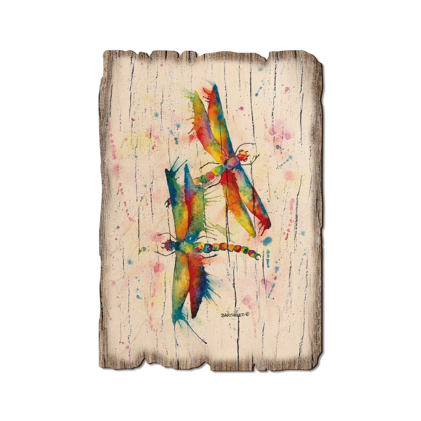 Bartholet's Rainbow Dragonflies Courtship - Rustic Edge Postcards & Magnets Rustic Edge Postcard (5pk // $2.80ea)