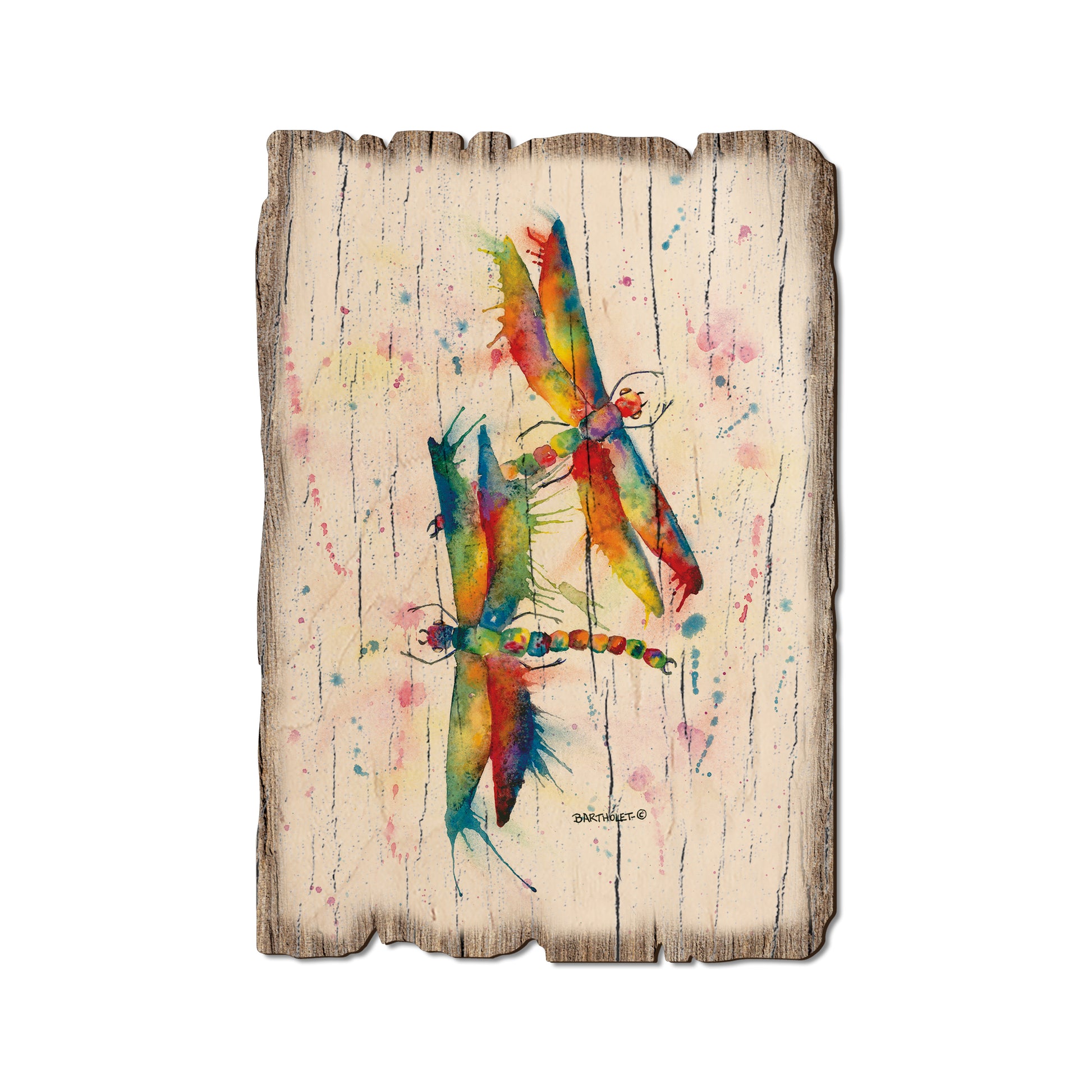 Bartholet's Rainbow Dragonflies Courtship - Rustic Edge Postcards & Magnets Rustic Edge Postcard (5pk // $2.80ea)