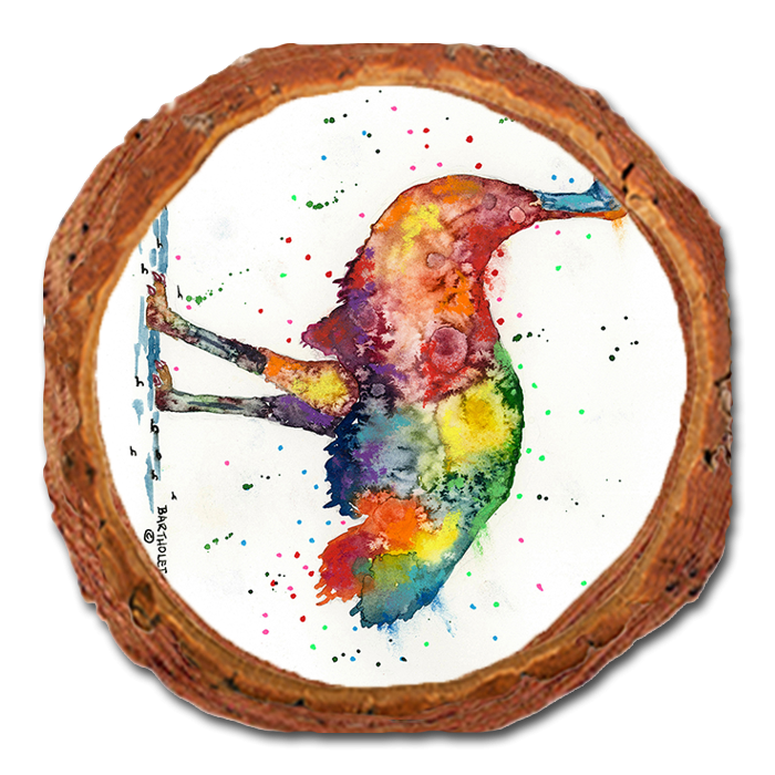 Coaster: Live Edge - Bartholet's Rainbow Emu (Pack of 5)