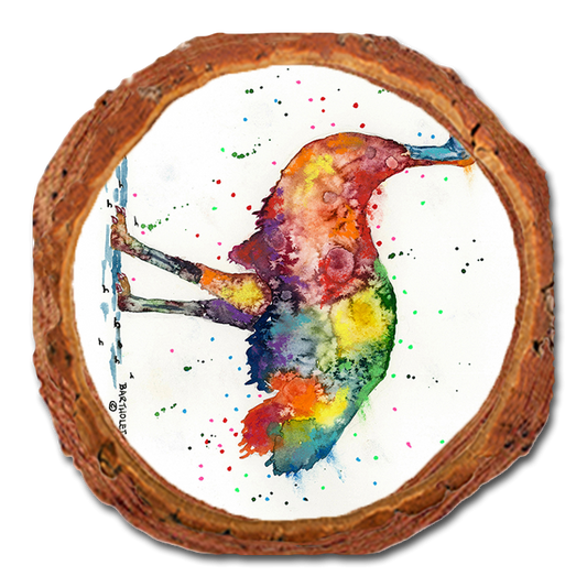 Coaster: Live Edge - Bartholet's Rainbow Emu (Pack of 5)