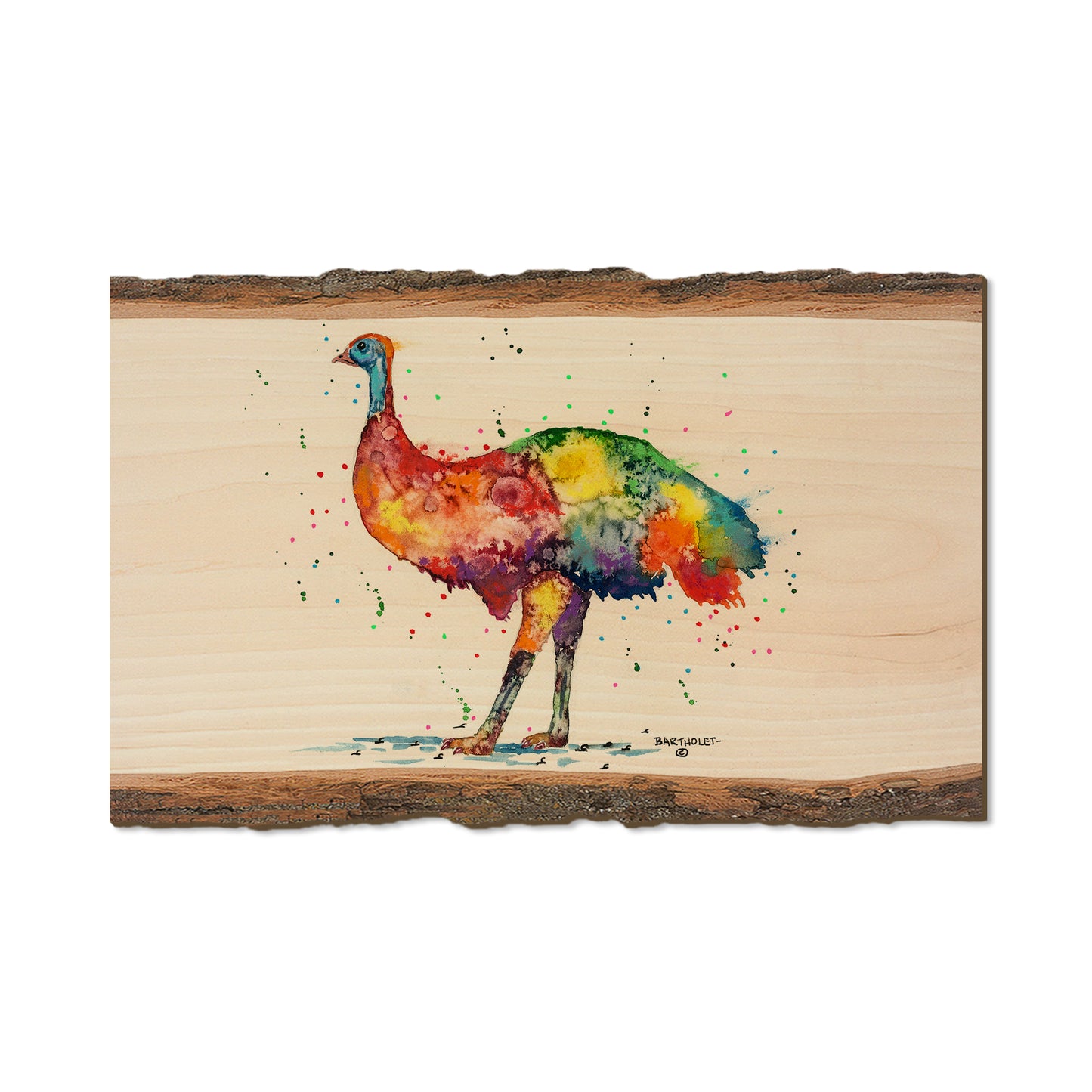 Bartholet's Rainbow Emu  - Live Edge Live Edge Magnet (5pk // $2.80ea)