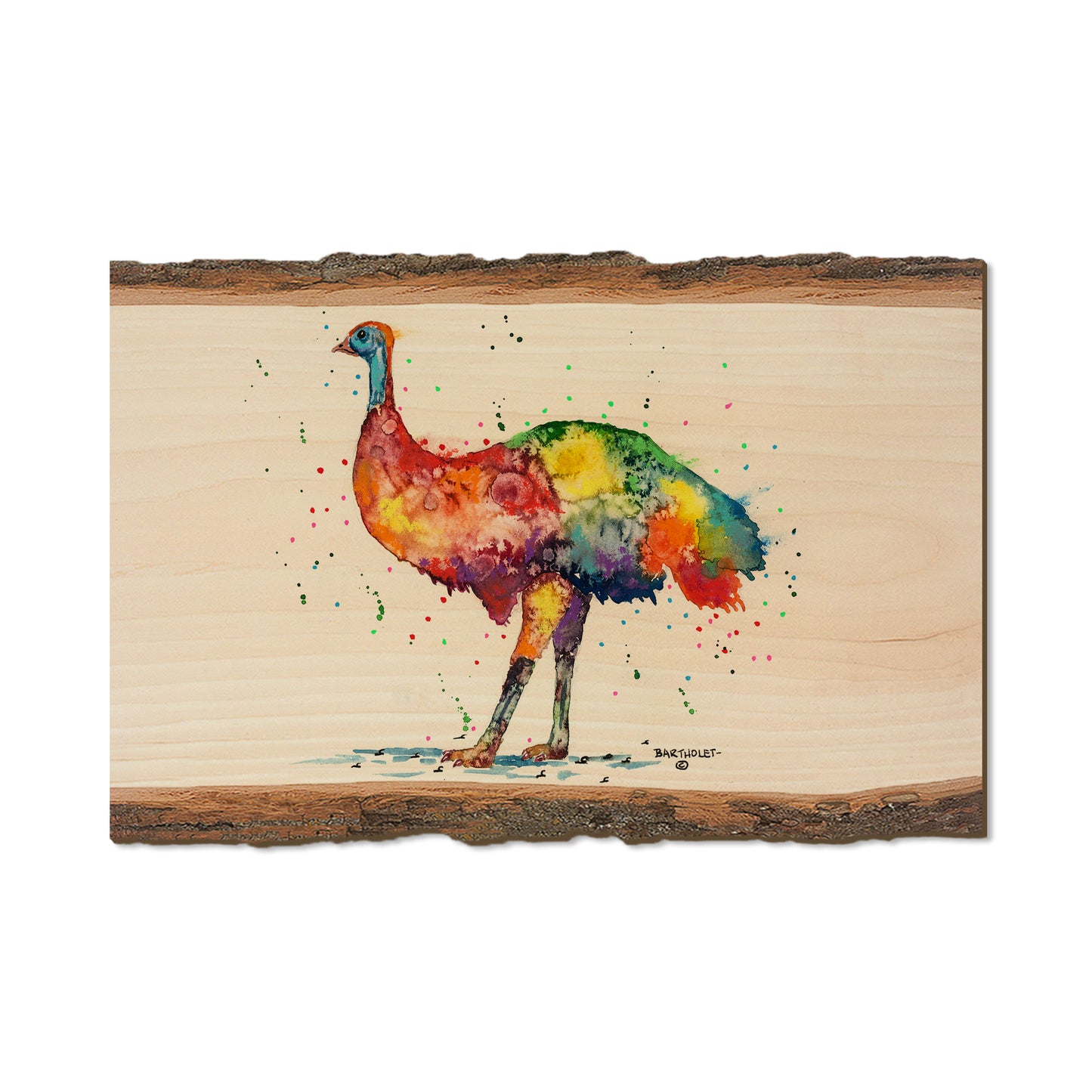 Bartholet's Rainbow Emu  - Live Edge Live Edge Postcard (5pk // $2.80ea)