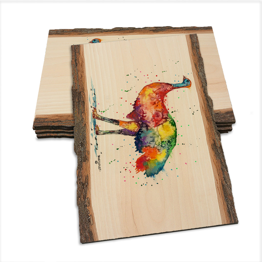 Bartholet's Rainbow Emu  - Live Edge Live Edge Postcard (5pk // $2.80ea)