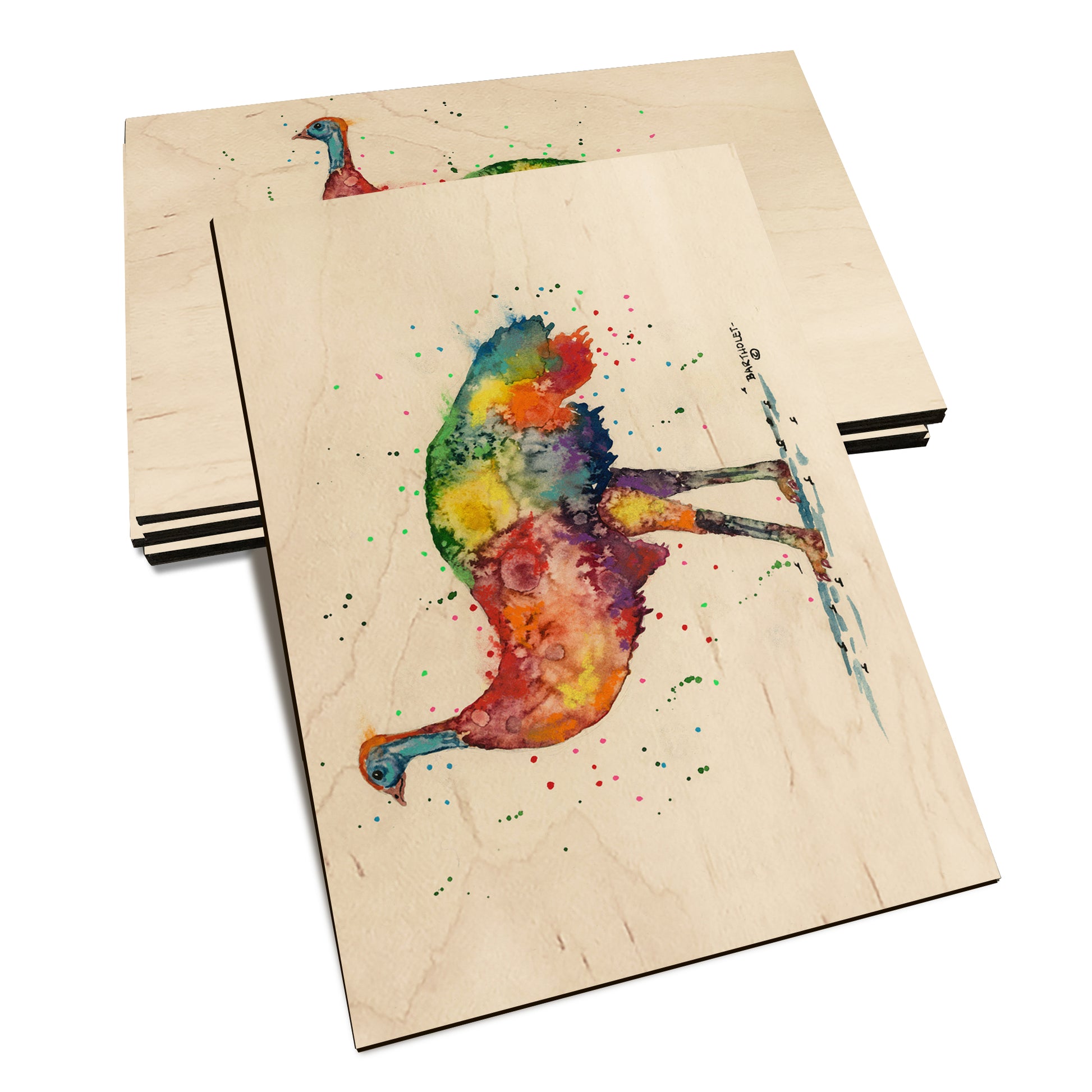 Bartholet's Rainbow Emu  - Classic Edge Classic Edge Postcard (5pk // $2.80ea)