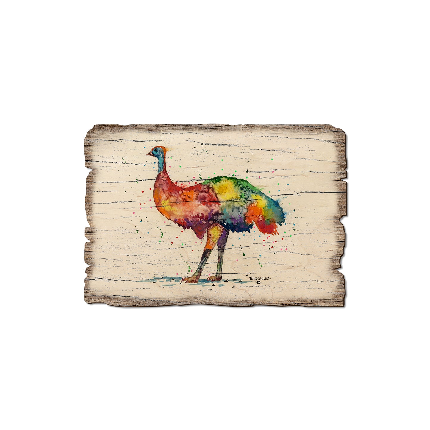 Bartholet's Rainbow Emu - Rustic Edge Postcards & Magnets Rustic Edge Magnet (5pk // $2.80ea)