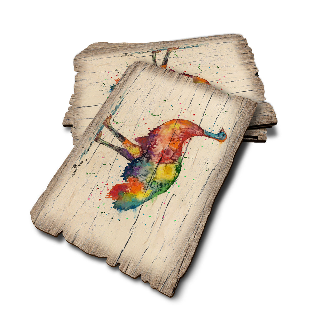 Bartholet's Rainbow Emu - Weathered Edge Rustic Edge Postcard (5pk // $2.80ea)