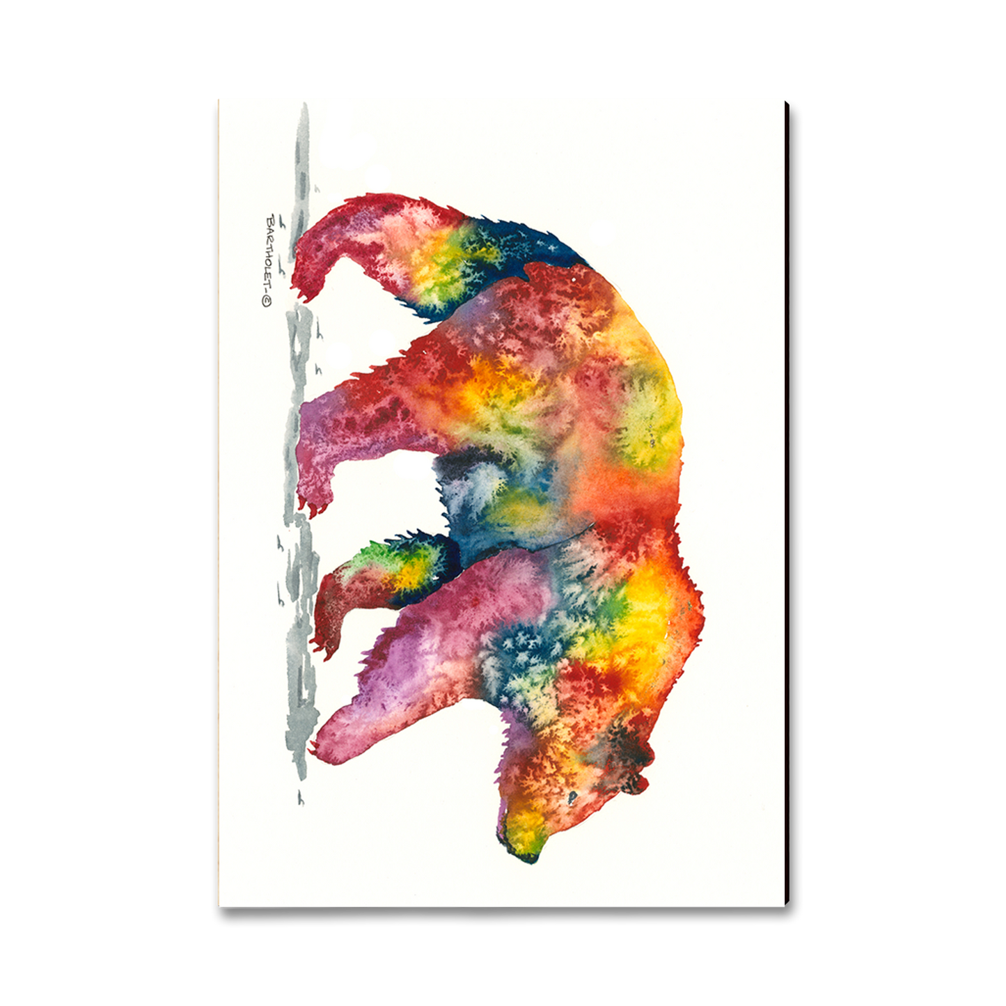 Magnet: Classic Edge - Bartholet's Rainbow Grizzly