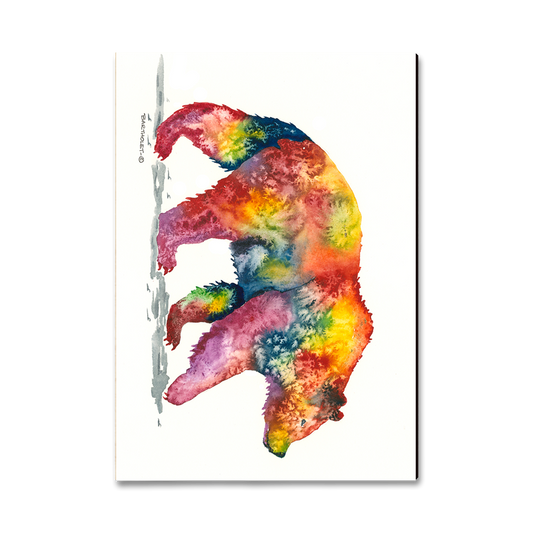 Magnet: Classic Edge - Bartholet's Rainbow Grizzly