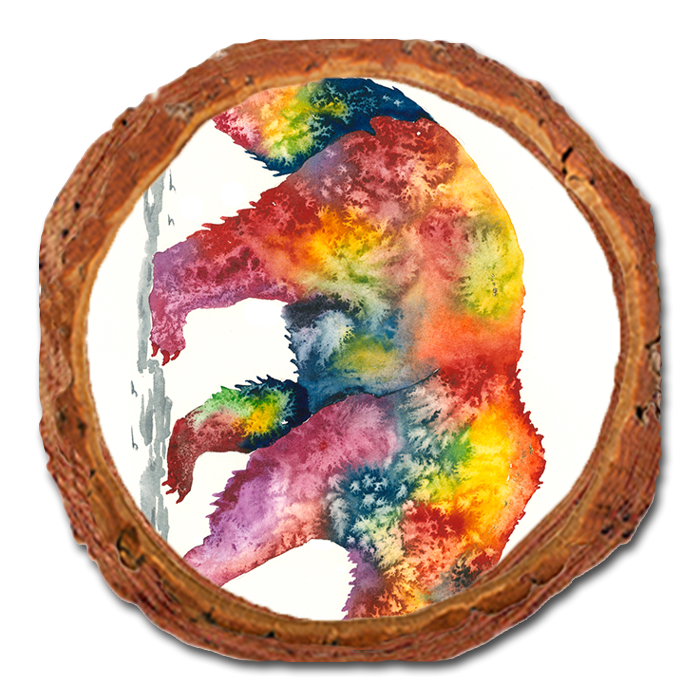 Coaster: Live Edge - Bartholet's Rainbow Grizzly (Pack of 5)