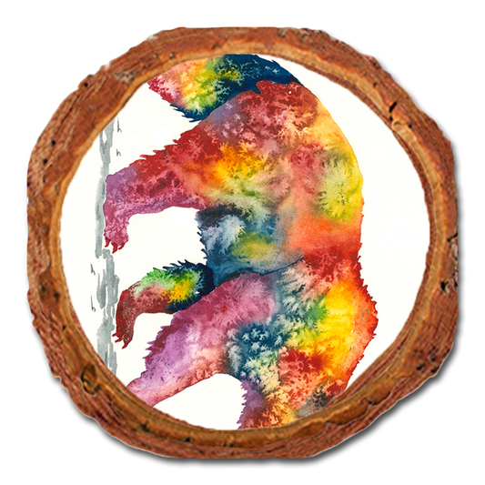 Coaster: Live Edge - Bartholet's Rainbow Grizzly (Pack of 5)