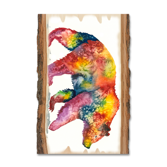 Magnet: Live Edge - Bartholet's Rainbow Grizzly