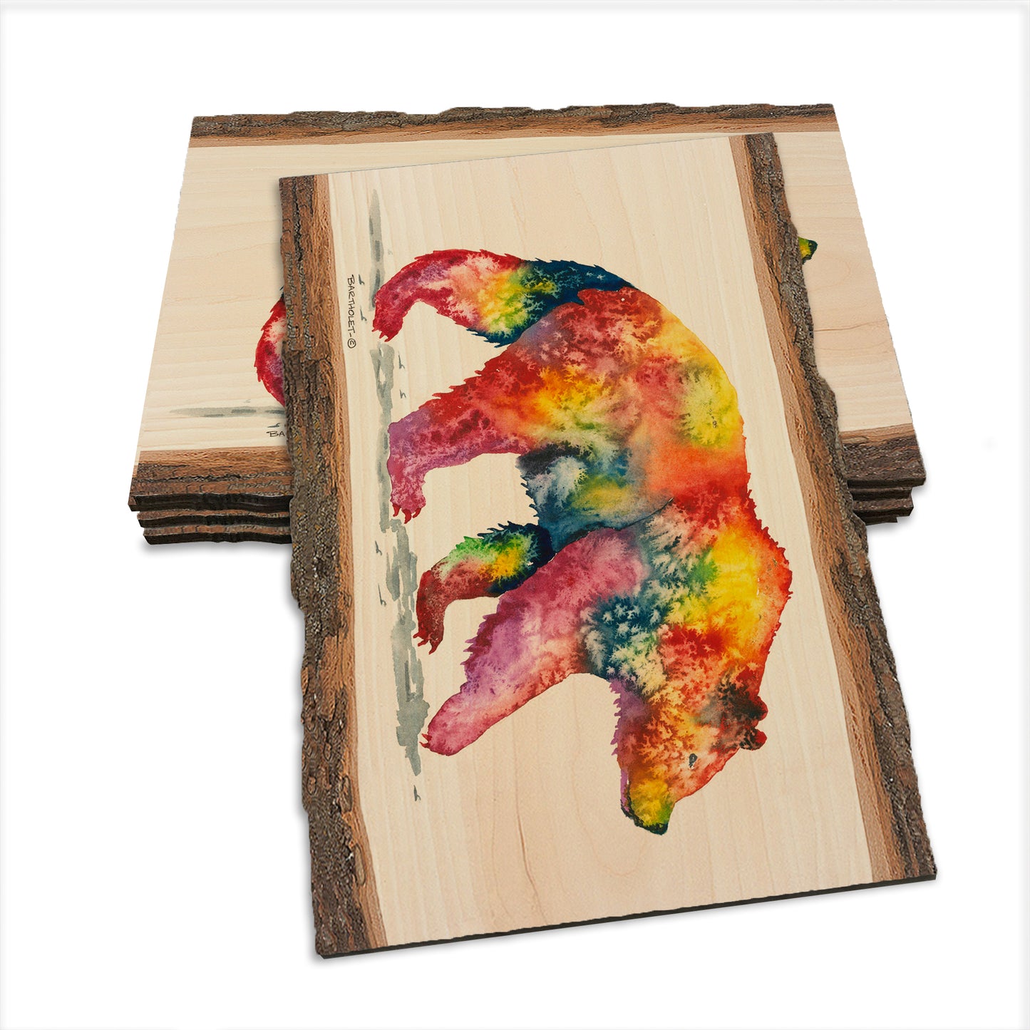 Bartholet's Rainbow Grizzly  - Live Edge Live Edge Postcard (5pk // $2.80ea)