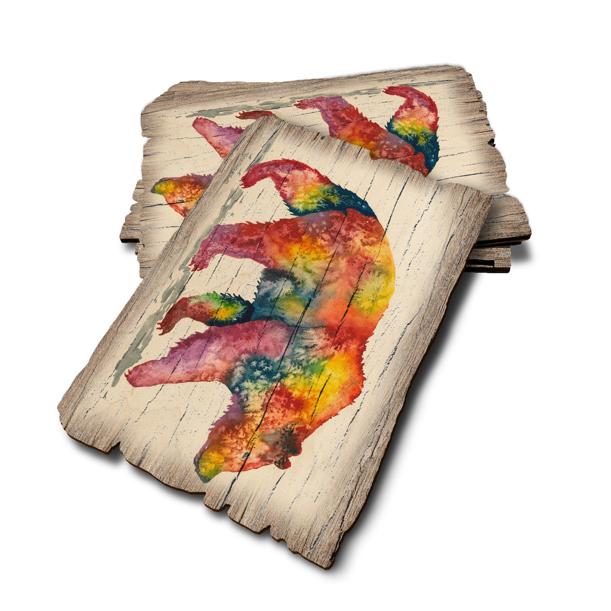 Bartholet's Rainbow Grizzly - Weathered Edge Rustic Edge Postcard (5pk // $2.80ea)